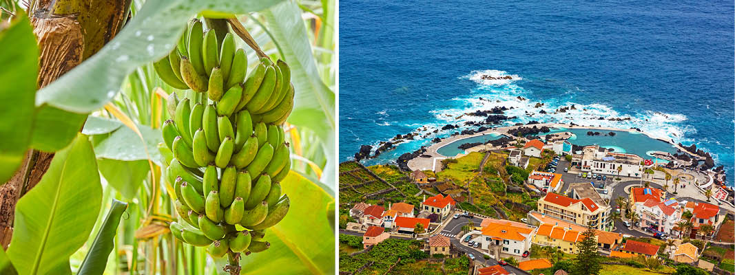 Madeira kulturrejser Europa